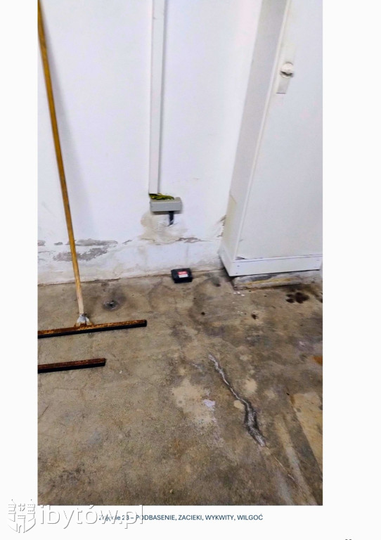 Galeria nieprawidłowości wykrytych w basenie Nimfa