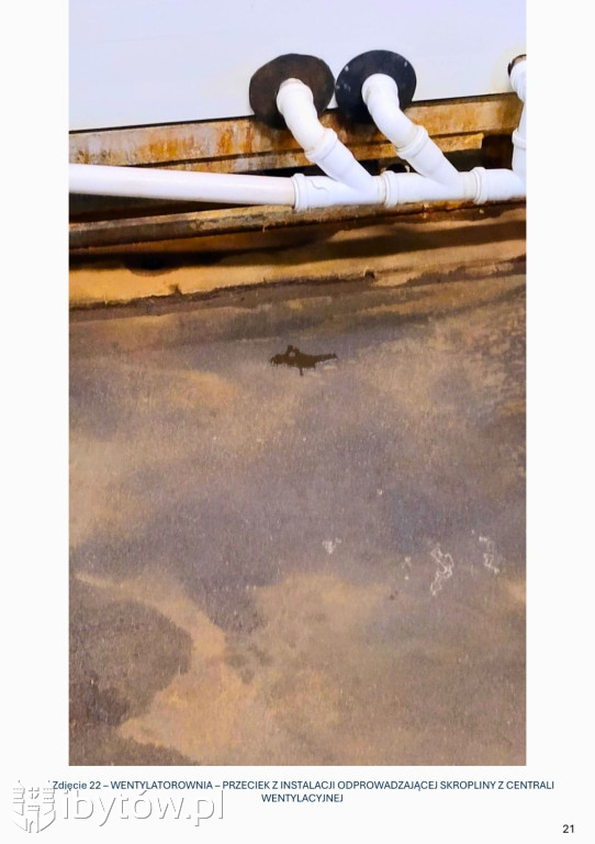 Galeria nieprawidłowości wykrytych w basenie Nimfa