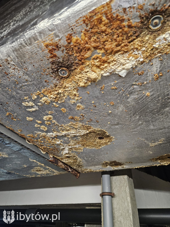 Galeria nieprawidłowości wykrytych w basenie Nimfa