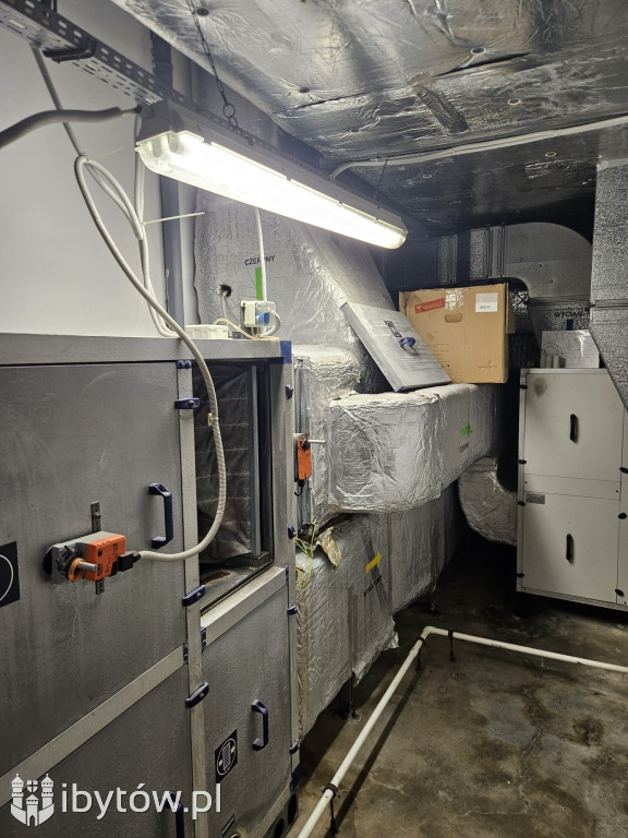 Galeria nieprawidłowości wykrytych w basenie Nimfa