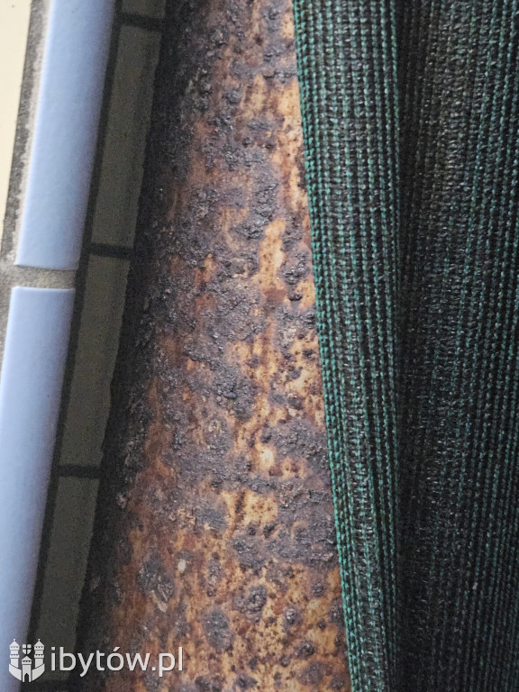 Galeria nieprawidłowości wykrytych w basenie Nimfa