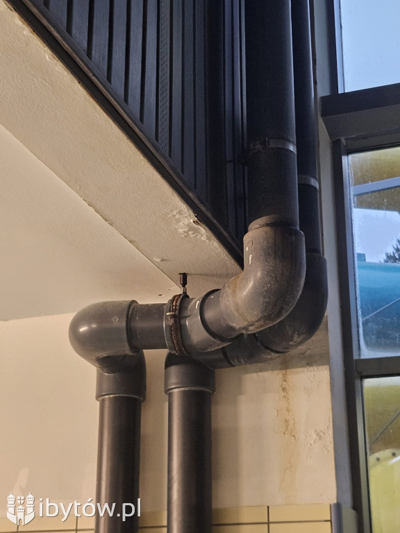 Galeria nieprawidłowości wykrytych w basenie Nimfa