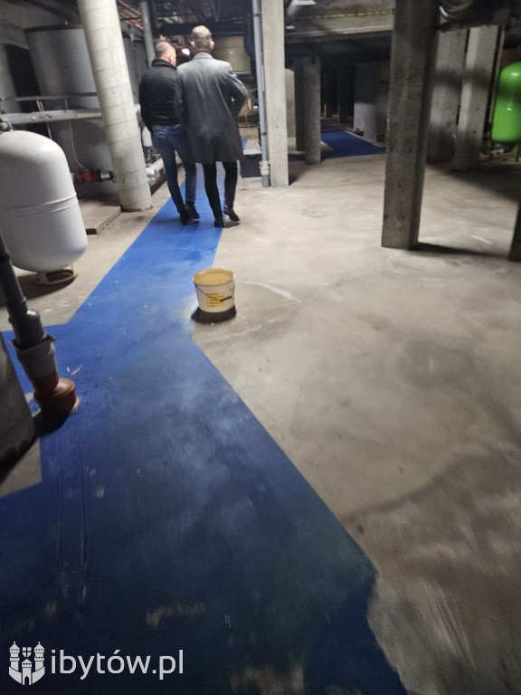 Galeria nieprawidłowości wykrytych w basenie Nimfa