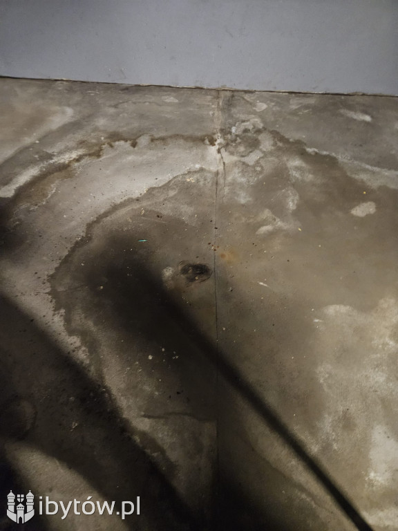 Galeria nieprawidłowości wykrytych w basenie Nimfa