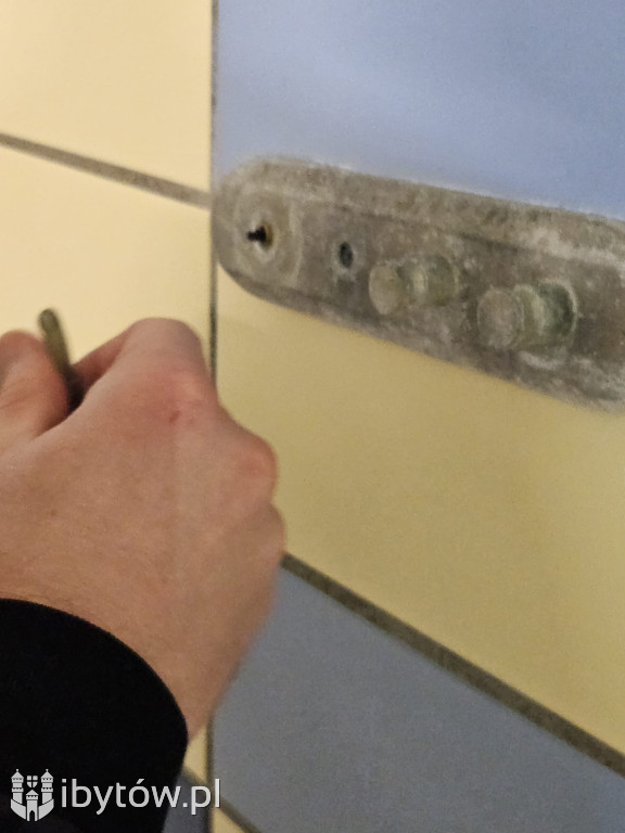 Galeria nieprawidłowości wykrytych w basenie Nimfa