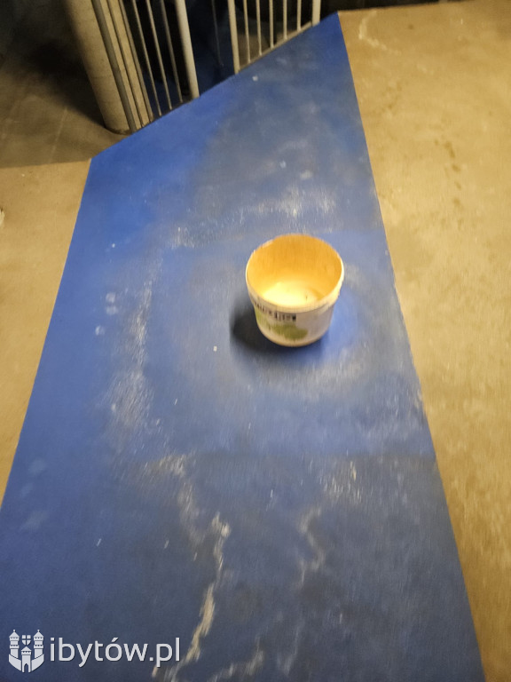 Galeria nieprawidłowości wykrytych w basenie Nimfa