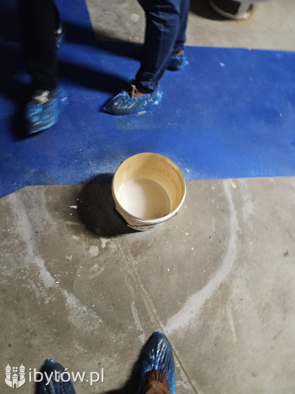 Galeria nieprawidłowości wykrytych w basenie Nimfa