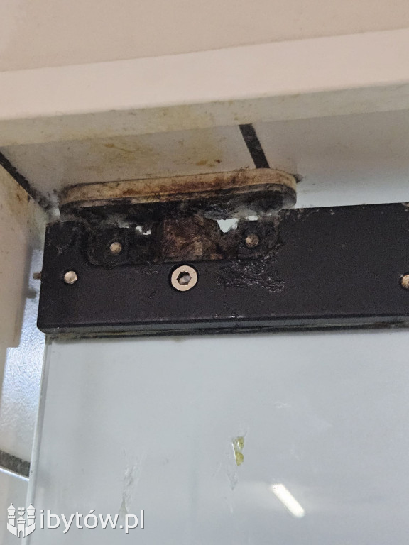 Galeria nieprawidłowości wykrytych w basenie Nimfa