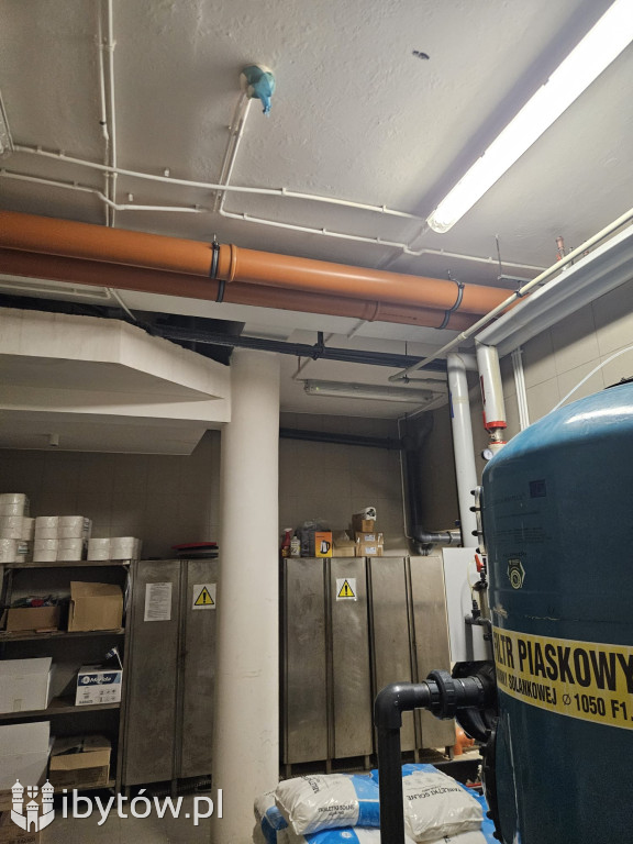 Galeria nieprawidłowości wykrytych w basenie Nimfa