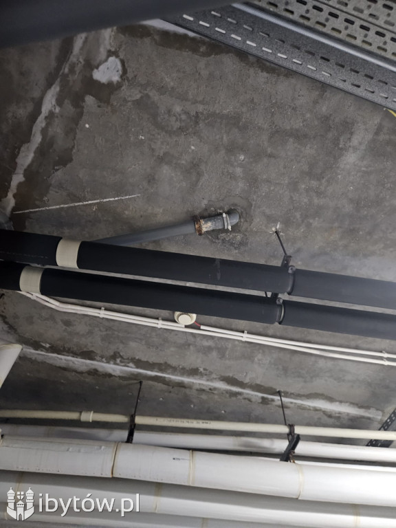 Galeria nieprawidłowości wykrytych w basenie Nimfa