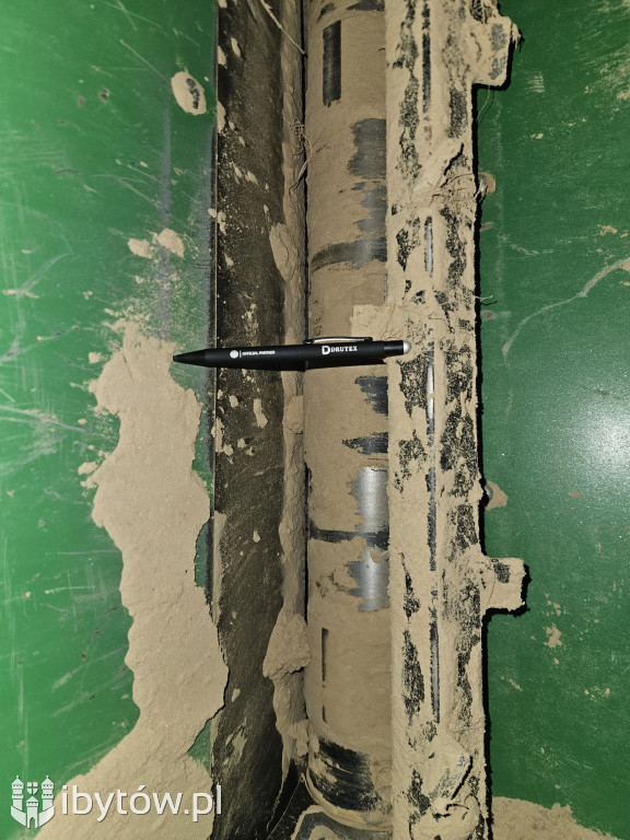 Galeria nieprawidłowości wykrytych w basenie Nimfa