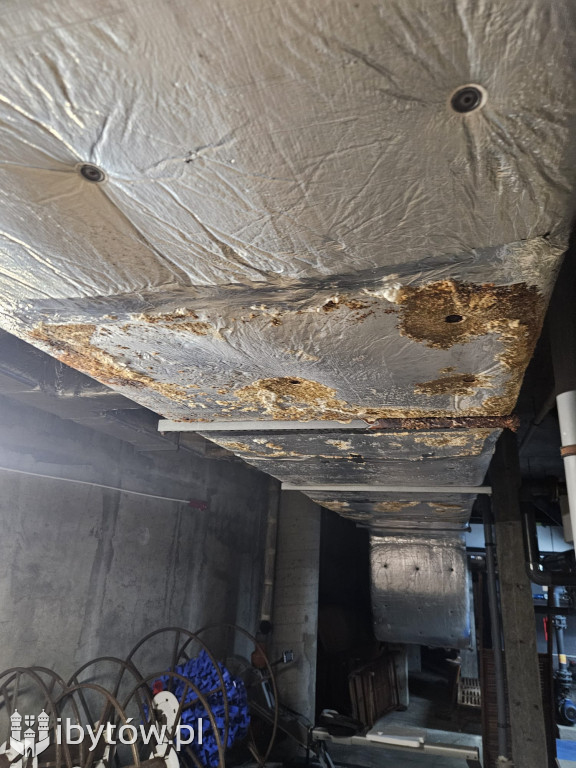 Galeria nieprawidłowości wykrytych w basenie Nimfa