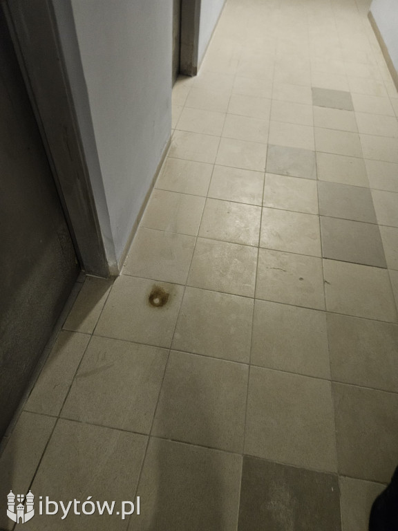 Galeria nieprawidłowości wykrytych w basenie Nimfa