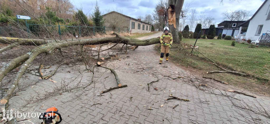 Wietrzny poniedziałek wielkanocny. Drzewa tarasowały drogi, wiatr zrywał dachy