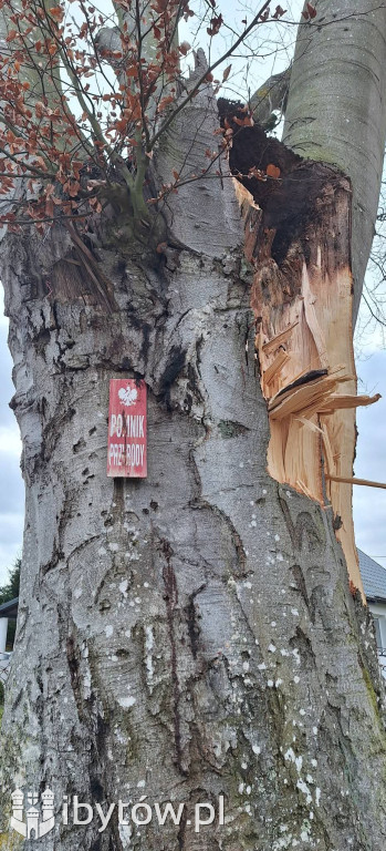 Wietrzny poniedziałek wielkanocny. Drzewa tarasowały drogi, wiatr zrywał dachy