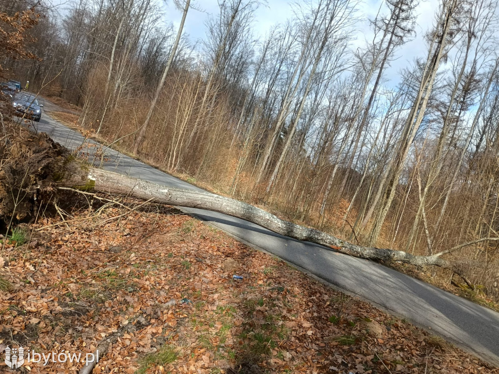 Wietrzny poniedziałek wielkanocny. Drzewa tarasowały drogi, wiatr zrywał dachy