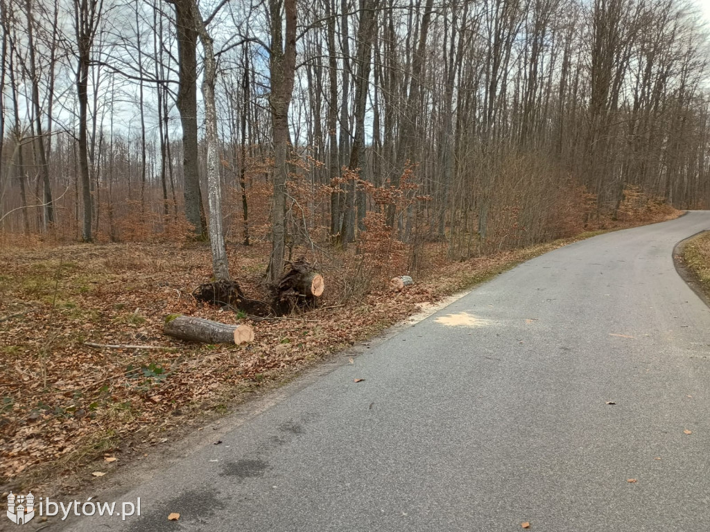 Wietrzny poniedziałek wielkanocny. Drzewa tarasowały drogi, wiatr zrywał dachy