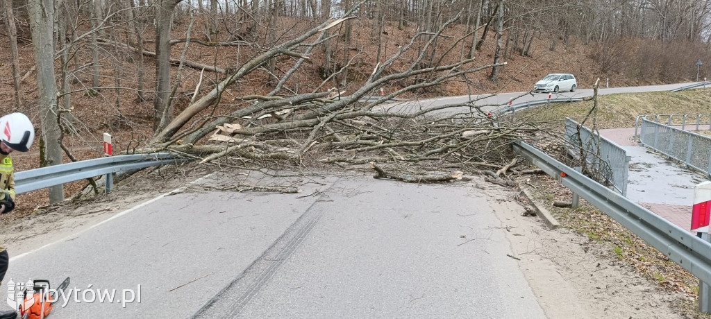 Wietrzny poniedziałek wielkanocny. Drzewa tarasowały drogi, wiatr zrywał dachy