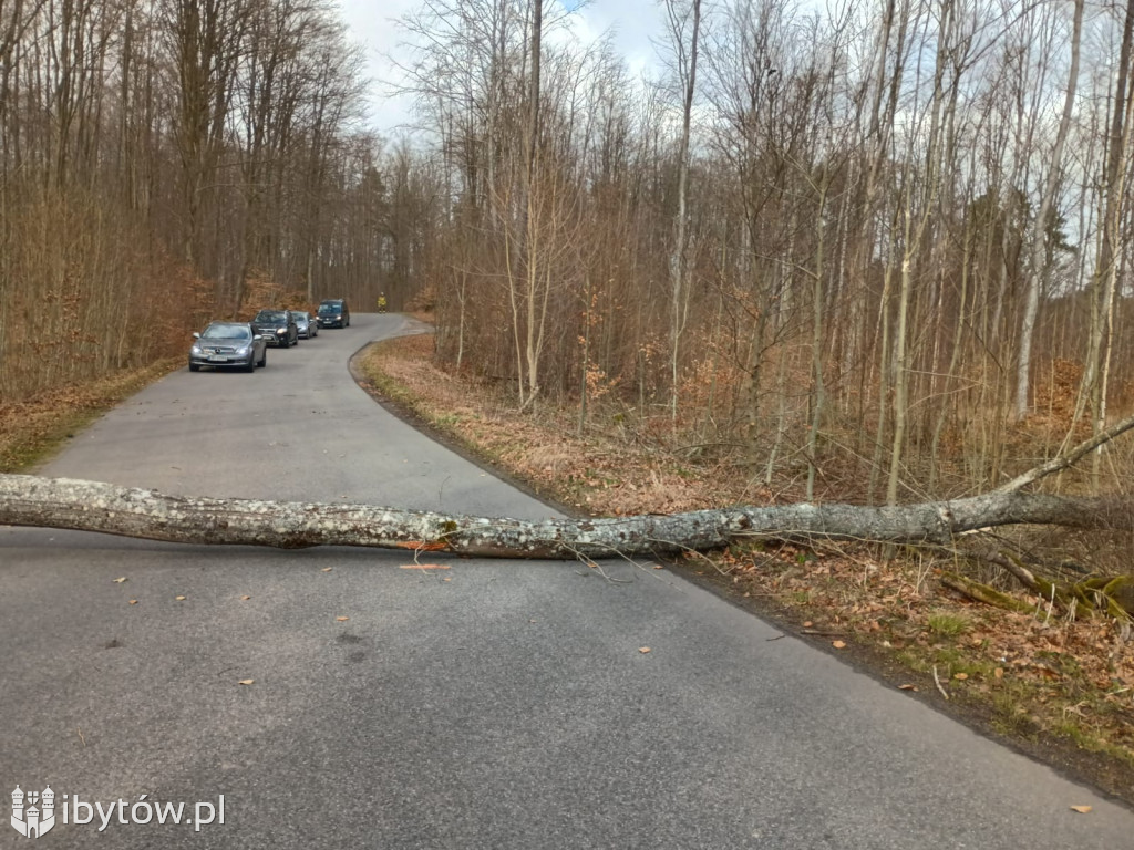 Wietrzny poniedziałek wielkanocny. Drzewa tarasowały drogi, wiatr zrywał dachy