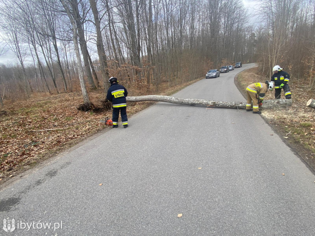 Wietrzny poniedziałek wielkanocny. Drzewa tarasowały drogi, wiatr zrywał dachy