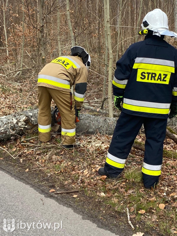 Wietrzny poniedziałek wielkanocny. Drzewa tarasowały drogi, wiatr zrywał dachy
