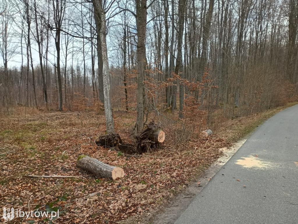 Wietrzny poniedziałek wielkanocny. Drzewa tarasowały drogi, wiatr zrywał dachy