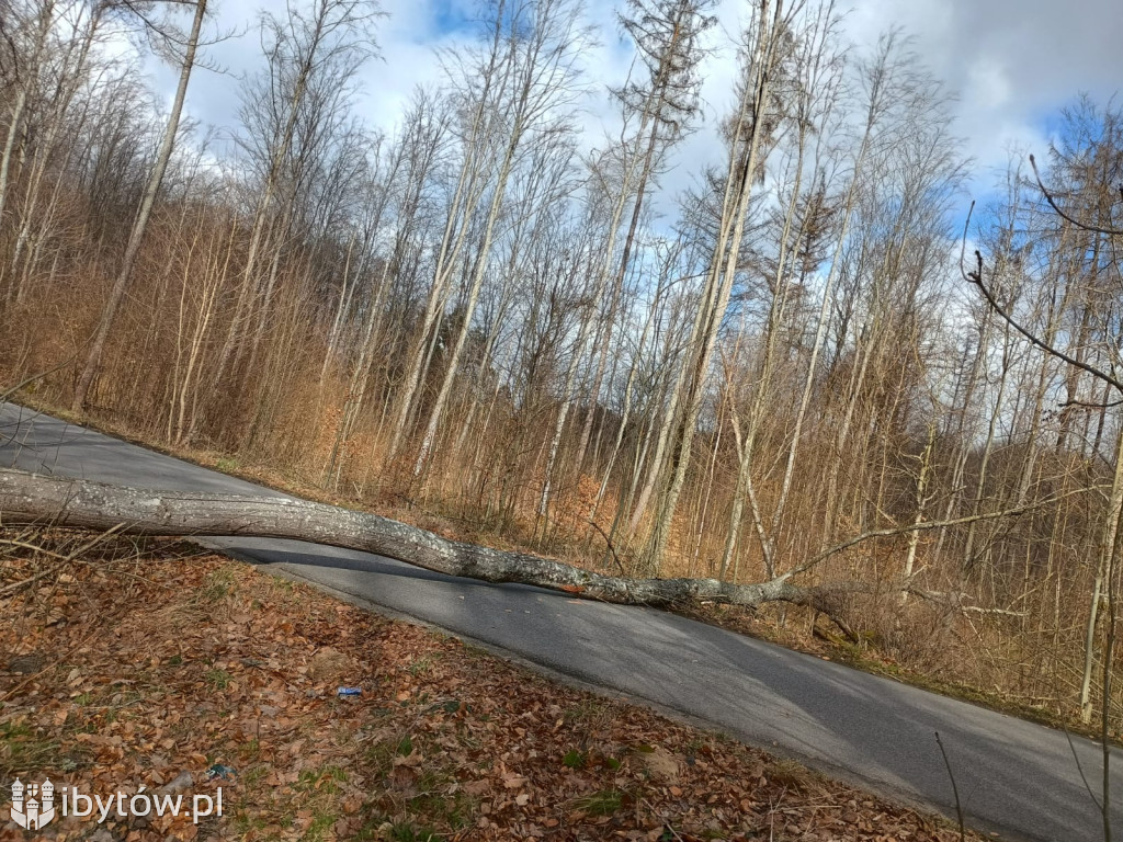 Wietrzny poniedziałek wielkanocny. Drzewa tarasowały drogi, wiatr zrywał dachy