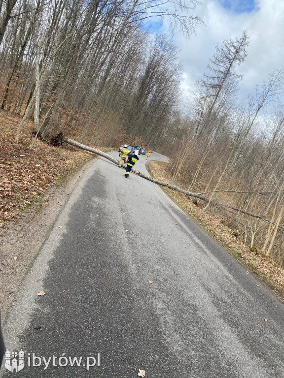 Wietrzny poniedziałek wielkanocny. Drzewa tarasowały drogi, wiatr zrywał dachy
