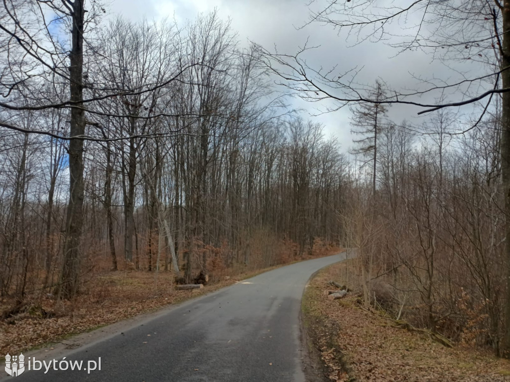 Wietrzny poniedziałek wielkanocny. Drzewa tarasowały drogi, wiatr zrywał dachy