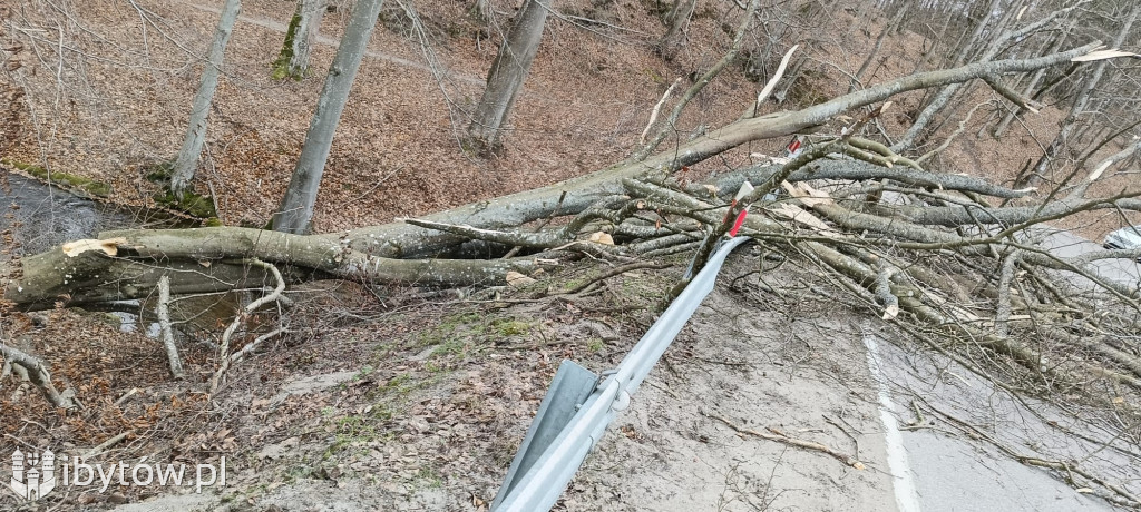 Wietrzny poniedziałek wielkanocny. Drzewa tarasowały drogi, wiatr zrywał dachy
