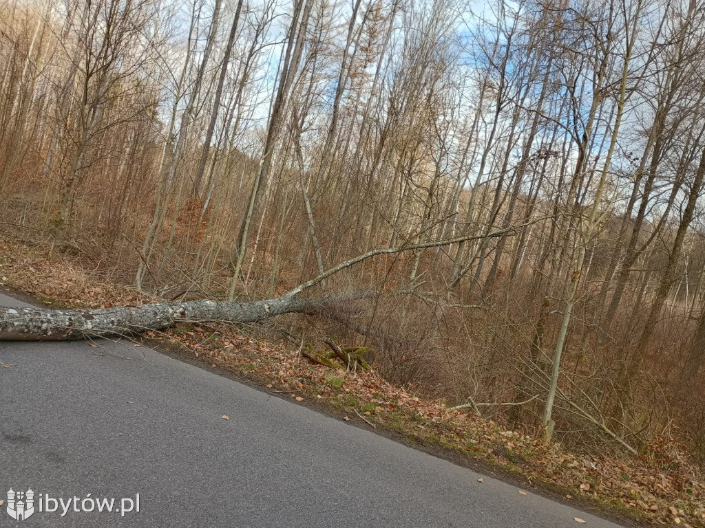 Wietrzny poniedziałek wielkanocny. Drzewa tarasowały drogi, wiatr zrywał dachy