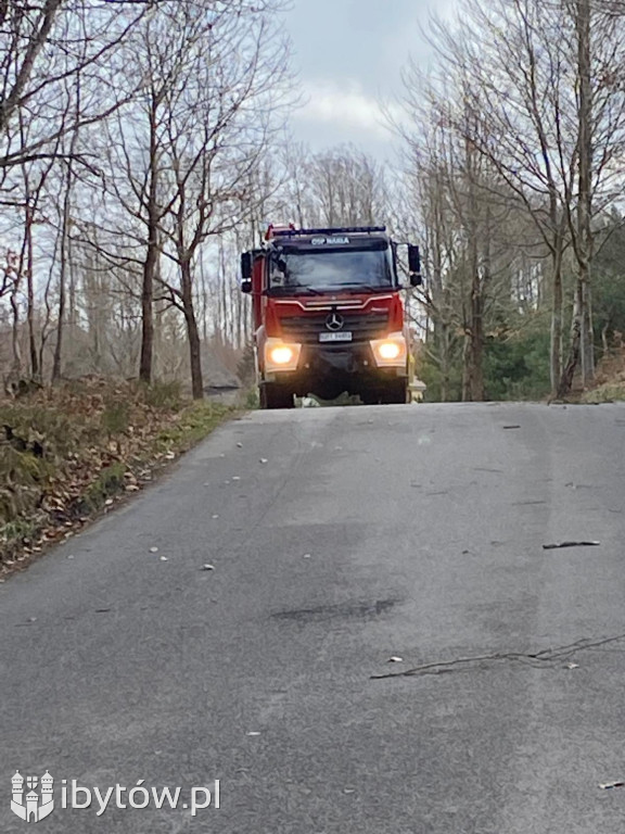 Wietrzny poniedziałek wielkanocny. Drzewa tarasowały drogi, wiatr zrywał dachy
