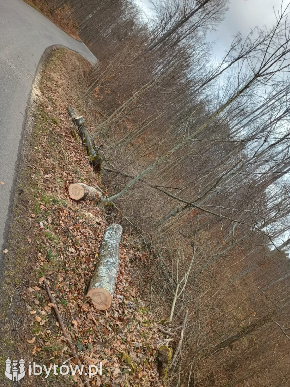 Wietrzny poniedziałek wielkanocny. Drzewa tarasowały drogi, wiatr zrywał dachy
