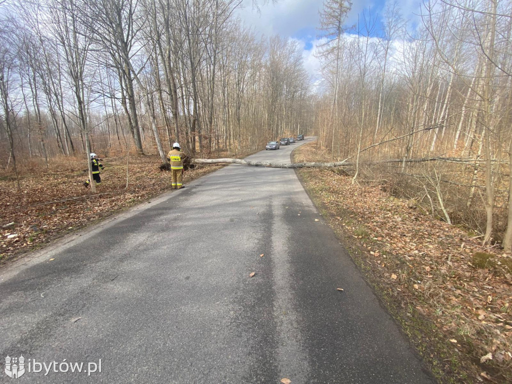 Wietrzny poniedziałek wielkanocny. Drzewa tarasowały drogi, wiatr zrywał dachy