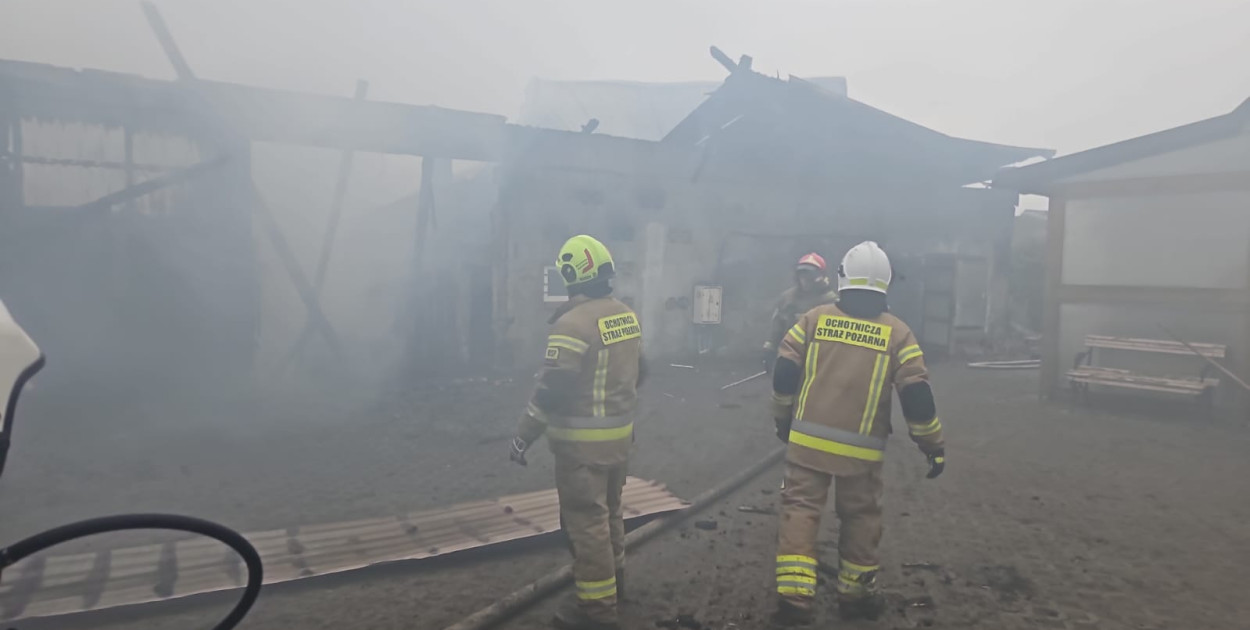 Bochowo walczyło z ogniem przez całą noc. Uratowano 17 sztuk bydła