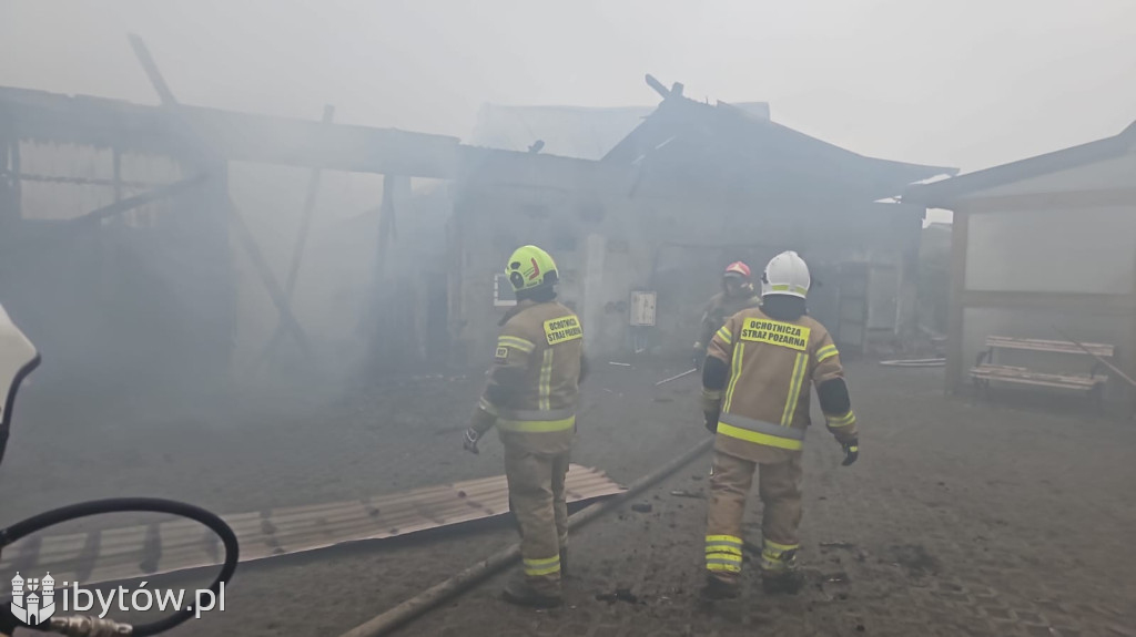 Bochowo walczyło z ogniem przez całą noc. Uratowano 17 sztuk bydła
