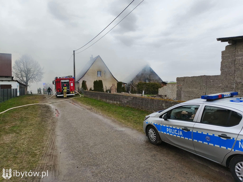 Bochowo walczyło z ogniem przez całą noc. Uratowano 17 sztuk bydła
