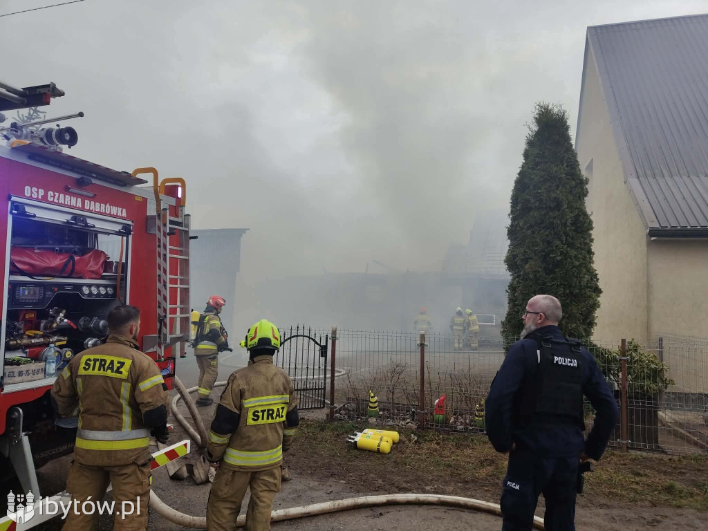 Bochowo walczyło z ogniem przez całą noc. Uratowano 17 sztuk bydła