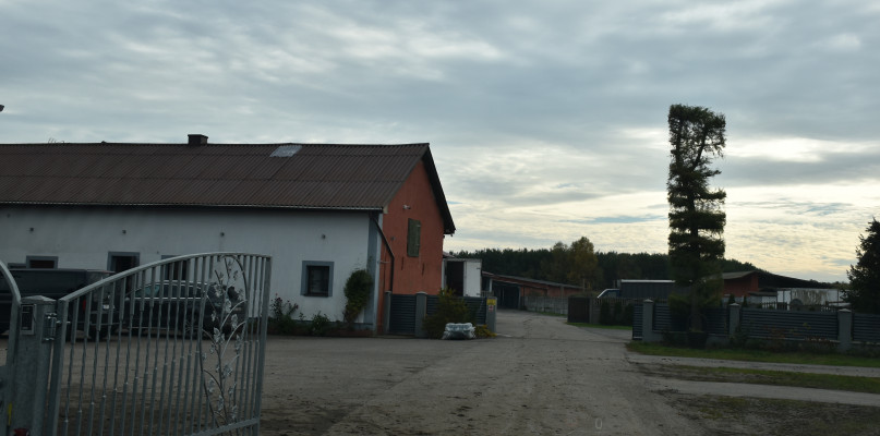 Ubojnia w Sątocznie - to stąd pochodzi mięso zagrażające życiu i zdrowiu ludzi