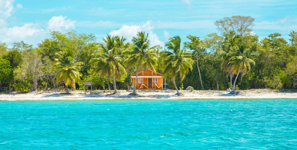 Rekiny na Dominikanie: Czy Turystom Grozi Niebezpieczeństwo?