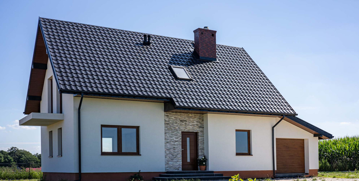 Kuna na poddaszu – co zrobić?