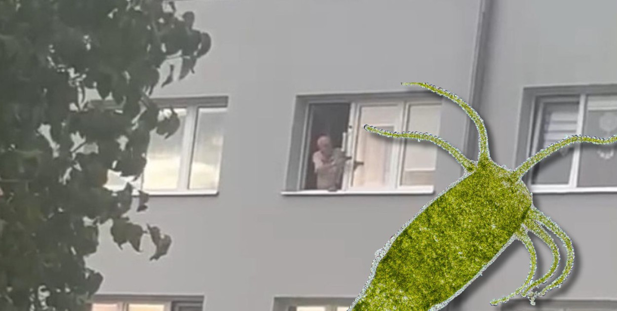 Antoni Literski strzelającego do ptaków mężczyzny porównuje do pozbawionej mózgu stułbi 