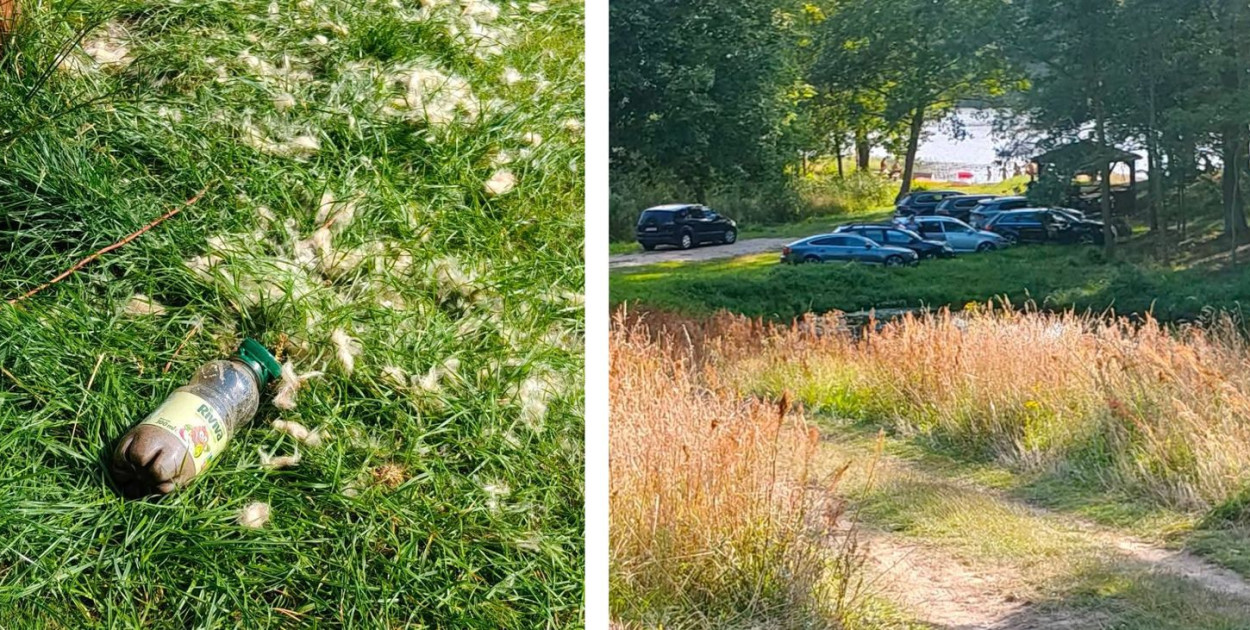 Radny Borzyszkowski sfotografował śmieci nad jeziorem Czornik w Płotowie