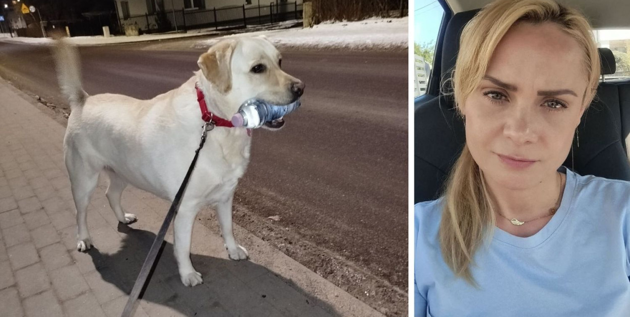 Monika Kucharska prosi o pomoc dla jej ukochanej suczki Luny