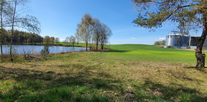Małżeństwo Gierszewskich działkę w Nożynku nad stawem o pow. ponad 3000 m2 uzyskało w cenie 1130 zł rocznie, na czas nieokreślony