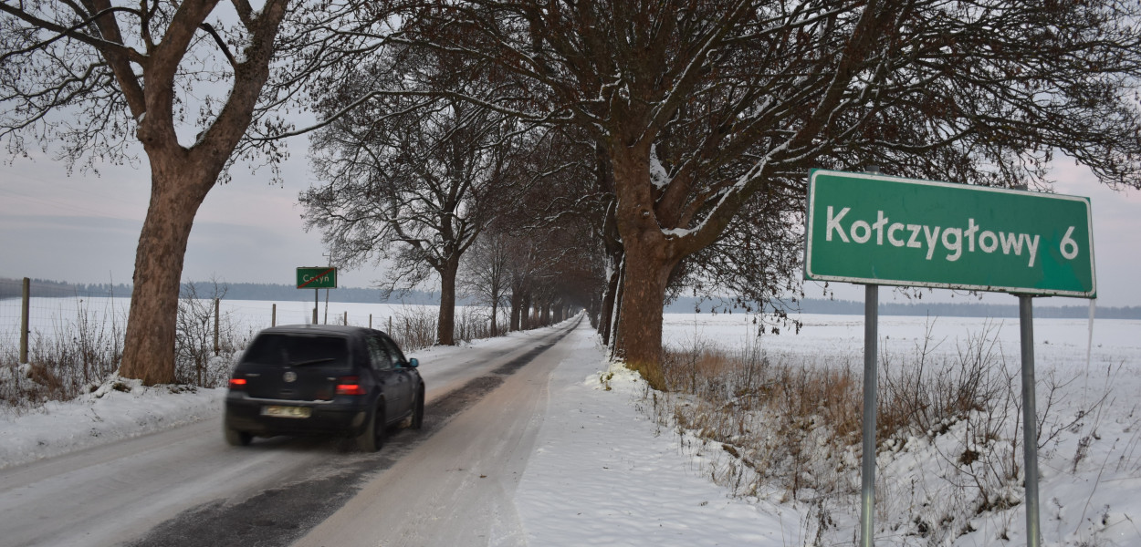 Wzdłuż drogi powiatowej na odcinku Trzebielino - Kołczygłowy wyciętych zostanie około 700 drzew 