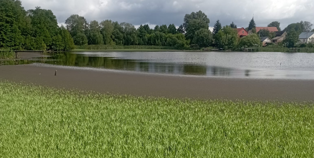 Jezioro Wiejskie w Czarnej Dąbrówce wysycha 