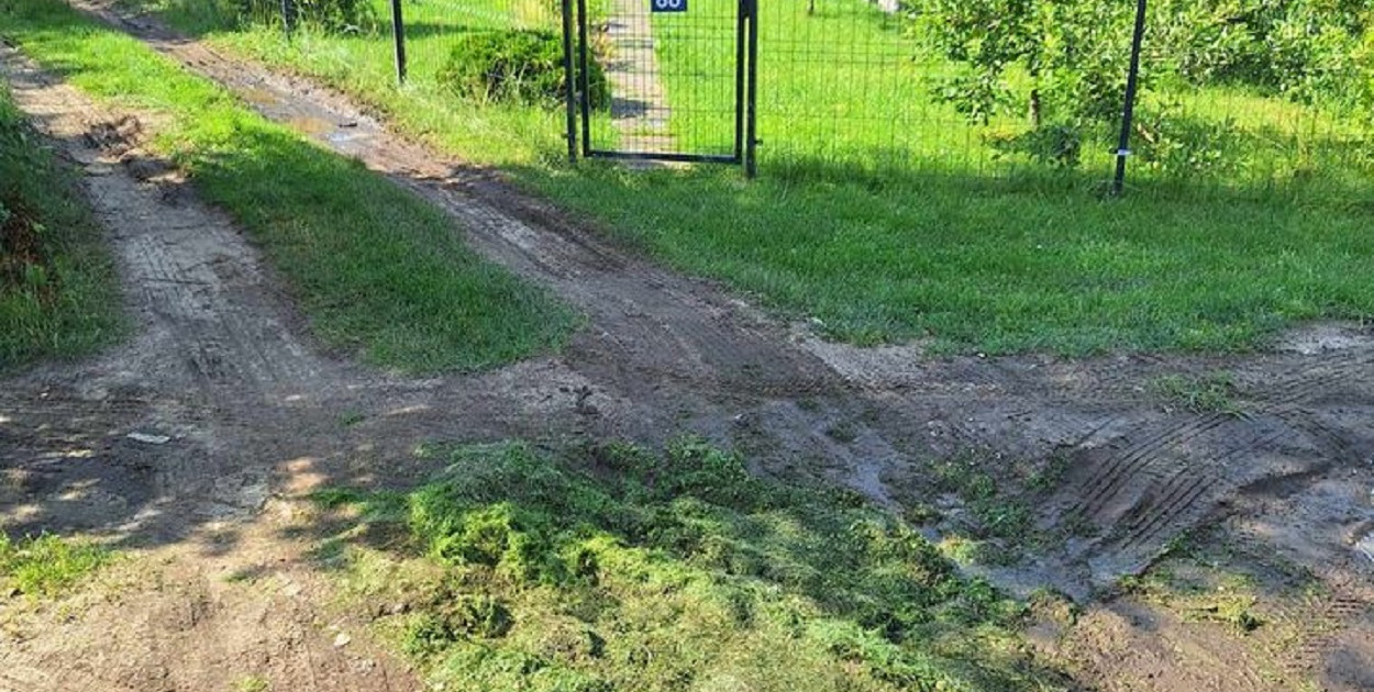 fot. Rodzinne Ogrody Działkowe im. Odrodzenie w Bytowie