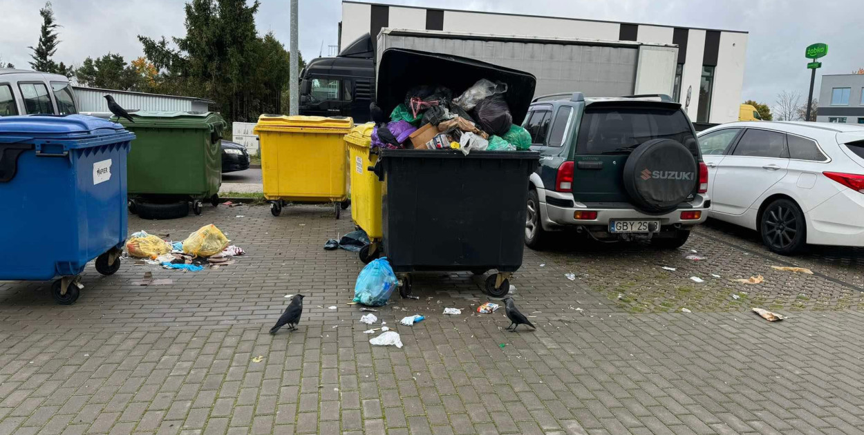 To podobno normalny widok przy śmietnikach obok bloków administrowanych przez firmę Cyferka