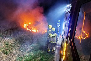 Groźny pożar traw w Tuchomiu. Szybka reakcja strażaków zapobiegła tragedii-18909